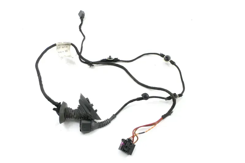 Audi 8E B6 Kabelbaum Tür Türkabelbaum ZV vorne rechts 8E1971029D 8E1971029G - Bild 1