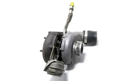 Article BLW25