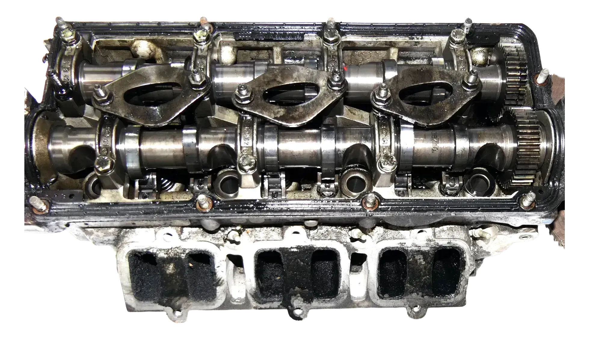 VW Passat 3BG Zylinderkopf Kopf Nockenwelle 2,5 TDI 132kw 180PS BDG rechts - Bild 1