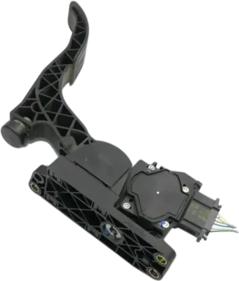 Article LWY23