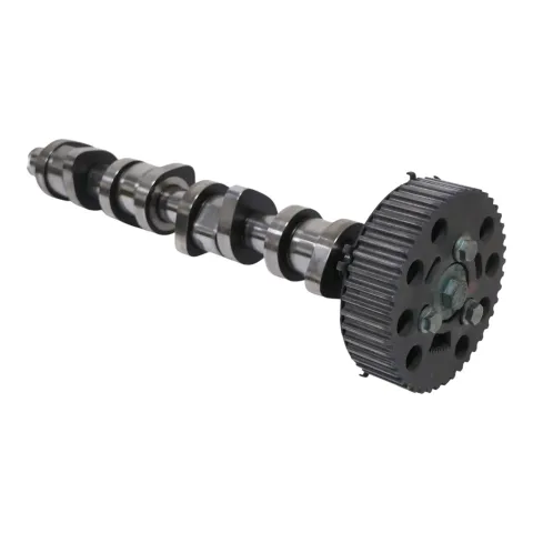 Article D6GM