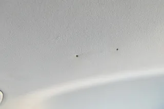 VW Golf 4 1J Kombi Variant Himmel Decke Dachhimmel Dach oben grau Schiebdach - Bild 6