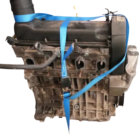 Article Z5BOG