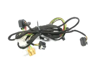 Audi A6 4B Kabelbaum Tür Türkabelbaum ZV vorne rechts 4B0971029G - Bild 1
