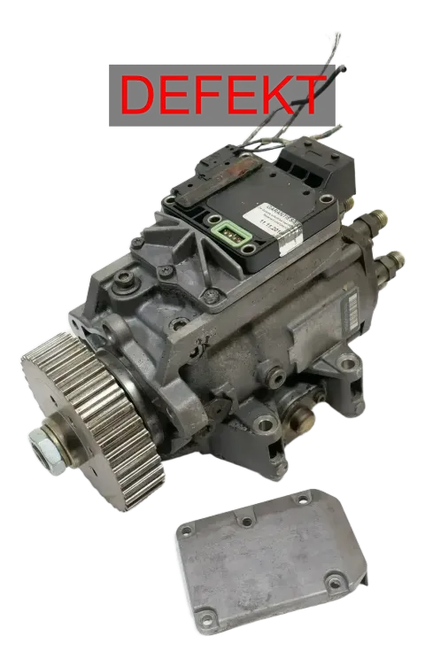 Article EBZL