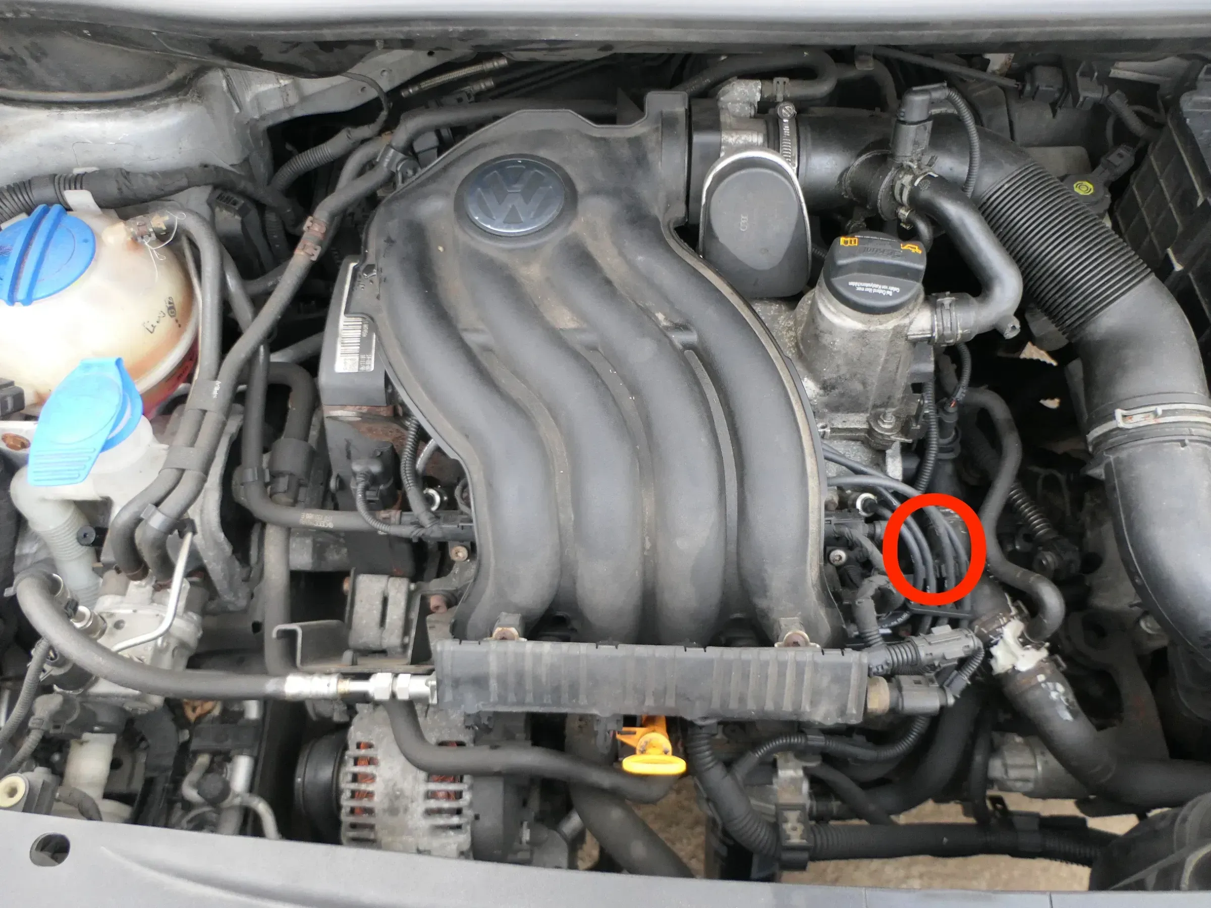 VW Bora Golf 4 Zündleitungen Zündkabel 06A905409N AZJ BEH BSX - Bild 1