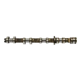 Audi A6 4F Nockenwelle Auslass BVJ links Zylinder 5-8 4,2 V8 079109102CG ## - Bild 1